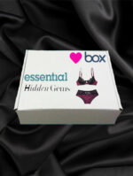 Love Box Ultimate Lingerie Subscription Box July 2016 - Image 2