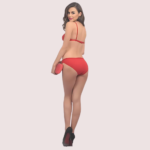 Fancy Hot Red Embroidery Bra Brief Set - Image 2