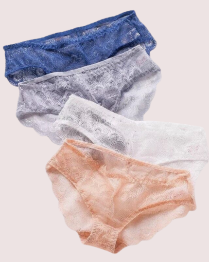Sexy Sheer Lace Bikini Brief Undies Pack (of 4)